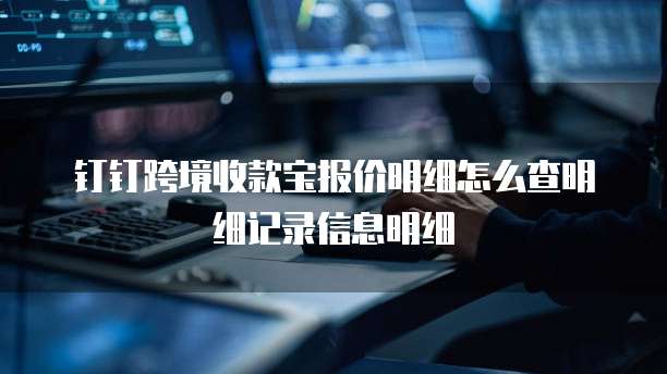 钉钉跨境收款宝报价明细怎么查明细记录信息明细