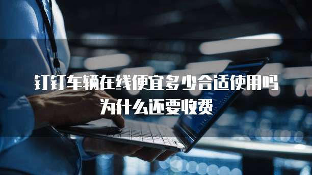 钉钉车辆在线便宜多少合适使用吗为什么还要收费