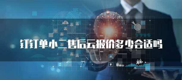钉钉单小二售后云报价多少合适吗