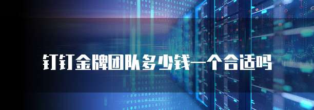钉钉金牌团队多少钱一个合适吗