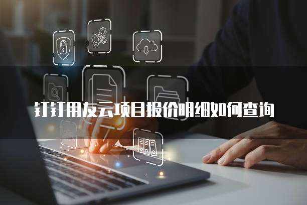 钉钉用友云项目报价明细如何查询