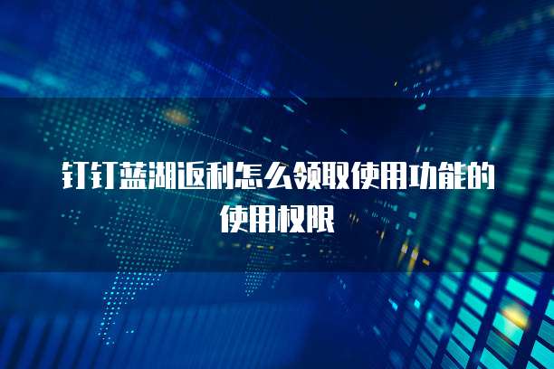 钉钉蓝湖返利怎么领取使用功能的使用权限