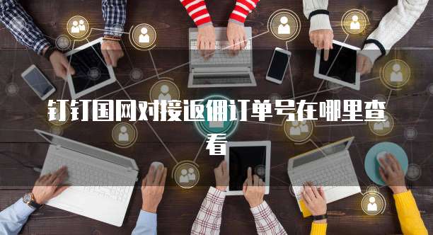 钉钉国网对接返佣订单号在哪里查看