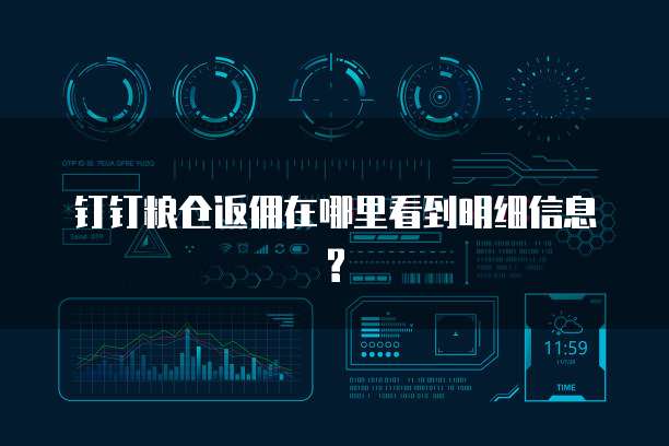 钉钉粮仓返佣在哪里看到明细信息?