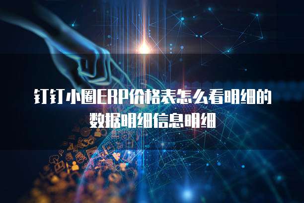 钉钉小圈erp价格表怎么看明细的数据明细信息明细