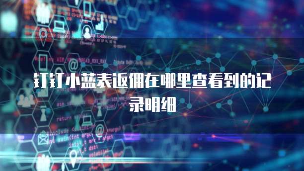 钉钉小蓝表返佣在哪里查看到的记录明细