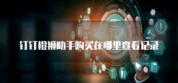 钉钉橙狮助手购买在哪里查看记录