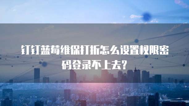 钉钉蓝莓维保打折怎么设置权限密码登录不上去?