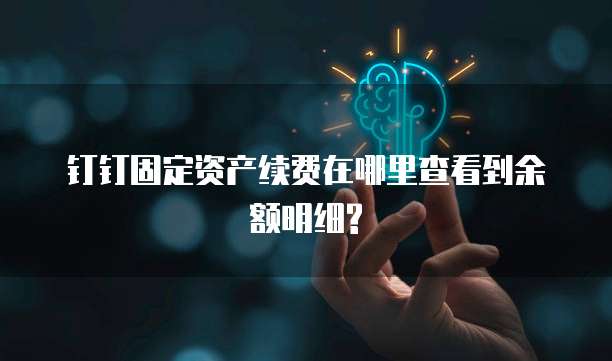 钉钉固定资产续费在哪里查看到余额明细?