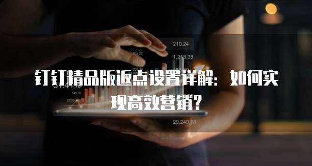 钉钉精品版返点设置详解：如何实现高效营销？