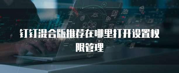 钉钉混合版推荐在哪里打开设置权限管理