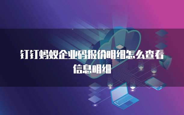 钉钉蚂蚁企业码报价明细怎么查看信息明细
