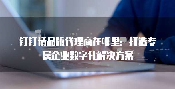 钉钉精品版代理商在哪里:打造专属企业数字化解决方案