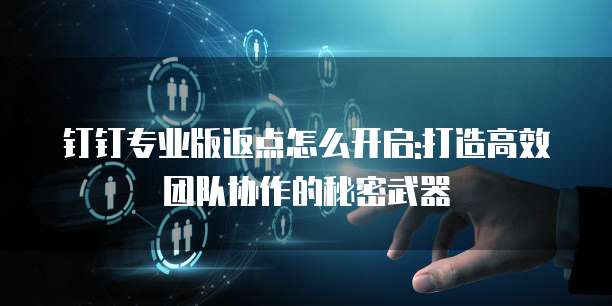 钉钉专业版返点怎么开启:打造高效团队协作的秘密武器