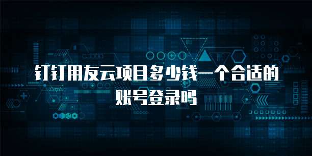 钉钉用友云项目多少钱一个合适的账号登录吗