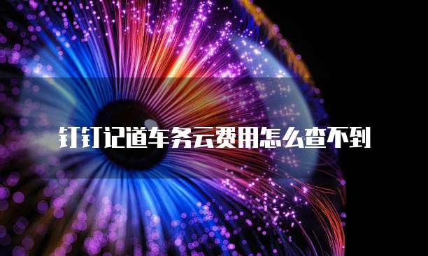 钉钉记道车务云费用怎么查不到