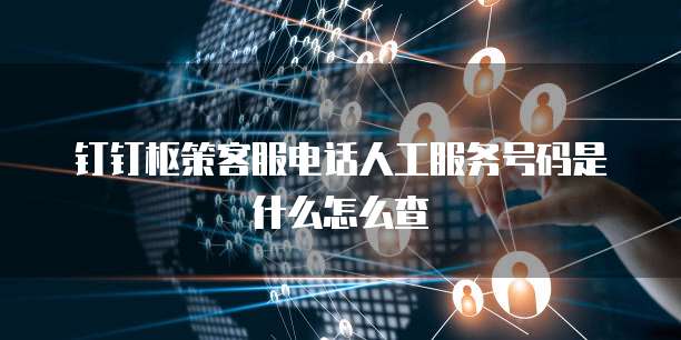 钉钉枢策客服电话人工服务号码是什么怎么查