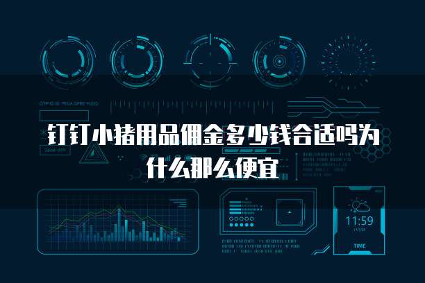 钉钉小猪用品佣金多少钱合适吗为什么那么便宜