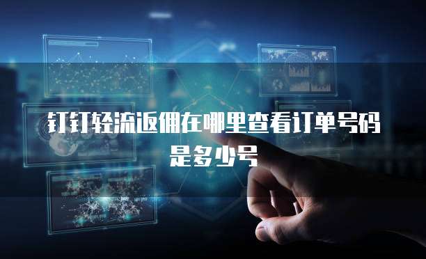 钉钉轻流返佣在哪里查看订单号码是多少号