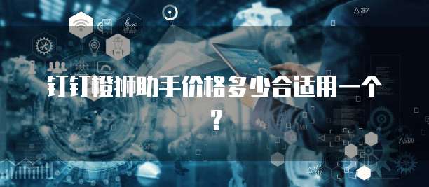 钉钉橙狮助手价格多少合适用一个?