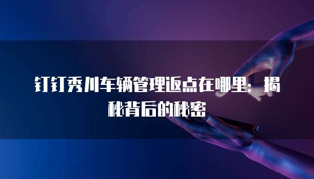 钉钉秀川车辆管理返点在哪里:揭秘背后的秘密