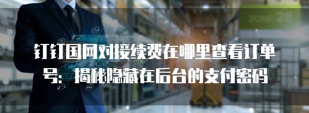 钉钉国网对接续费在哪里查看订单号:揭秘隐藏在后台的支付密码
