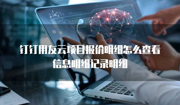 钉钉用友云项目报价明细怎么查看信息明细记录明细