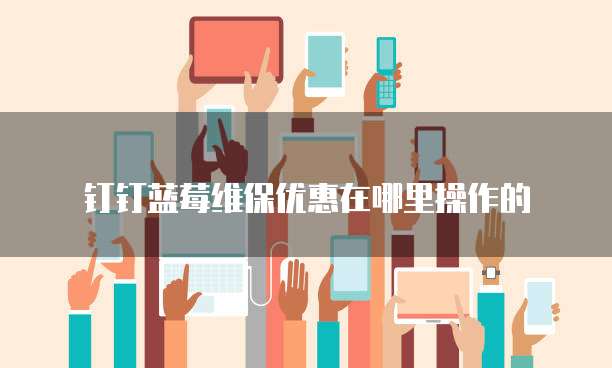 钉钉蓝莓维保优惠在哪里操作的