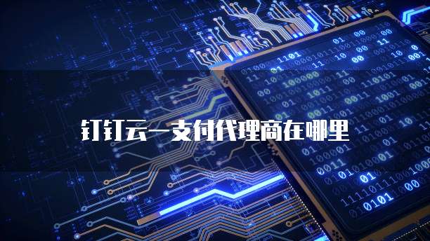 钉钉云一支付代理商在哪里