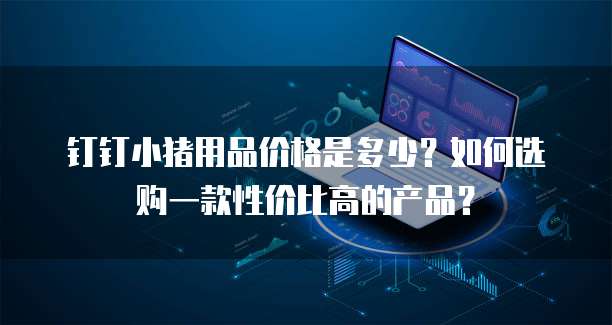 钉钉小猪用品价格是多少?如何选购一款性价比高的产品?