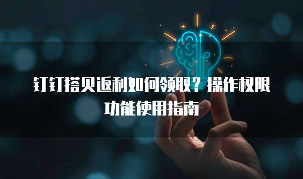 钉钉搭贝返利如何领取？操作权限功能使用指南