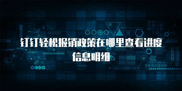 钉钉轻松报销政策在哪里查看进度信息明细