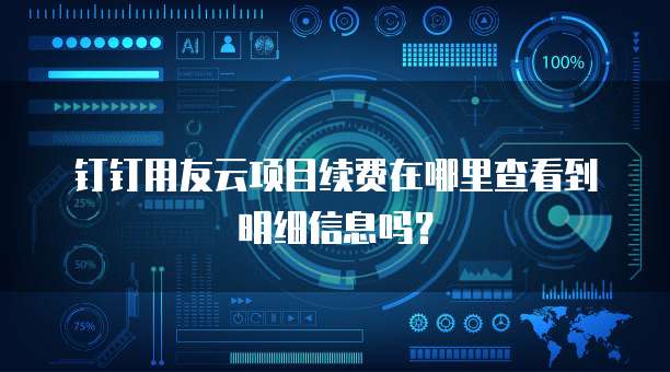 钉钉用友云项目续费在哪里查看到明细信息吗?