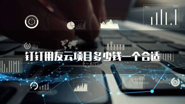 钉钉用友云项目多少钱一个合适