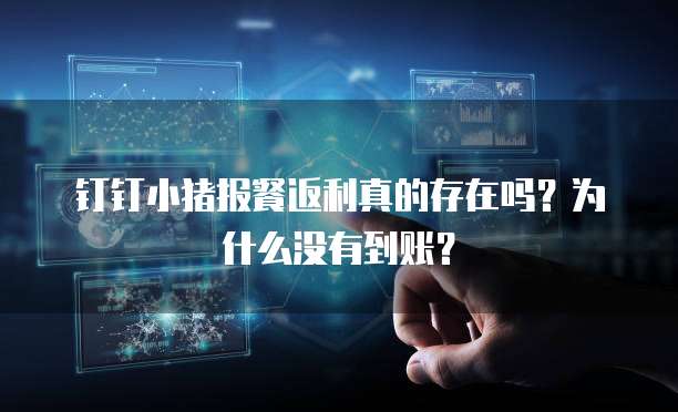 钉钉小猪报餐返利真的存在吗?为什么没有到账?