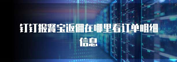 钉钉报餐宝返佣在哪里看订单明细信息