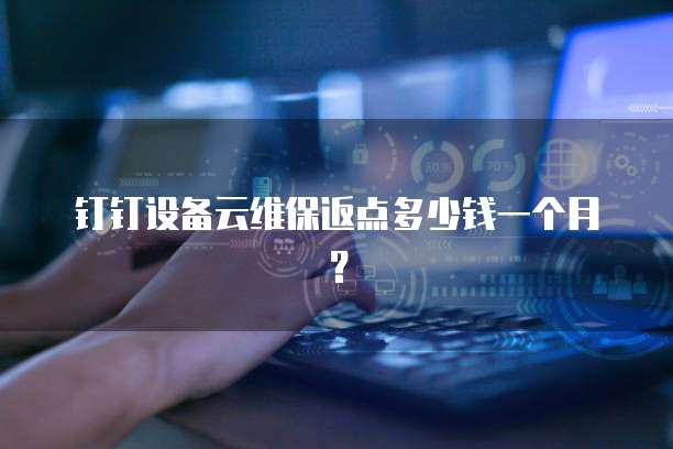 钉钉设备云维保返点多少钱一个月?