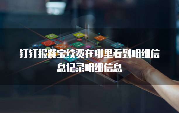 钉钉报餐宝续费在哪里看到明细信息记录明细信息