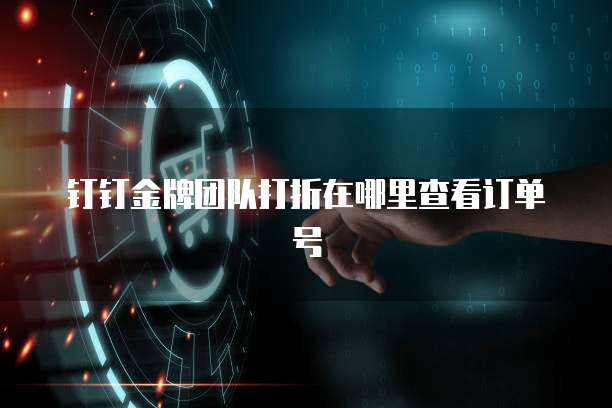 钉钉金牌团队打折在哪里查看订单号