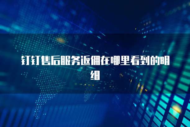 钉钉售后服务返佣在哪里看到的明细