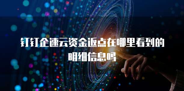钉钉企速云资金返点在哪里看到的明细信息吗