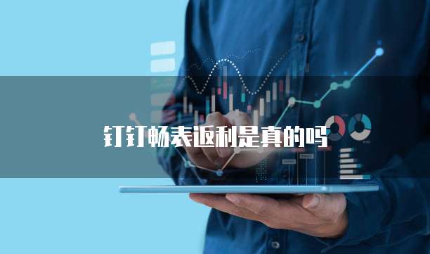 钉钉畅表返利是真的吗