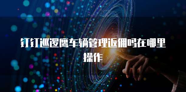 钉钉巡逻鹰车辆管理返佣吗在哪里操作