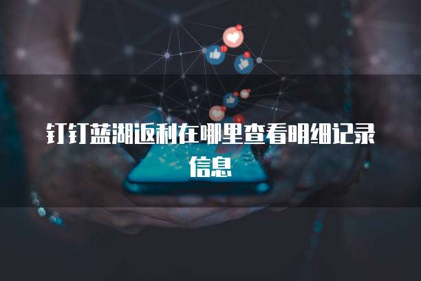 钉钉蓝湖返利在哪里查看明细记录信息