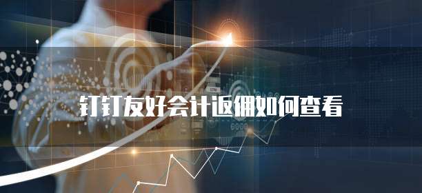 钉钉友好会计返佣如何查看