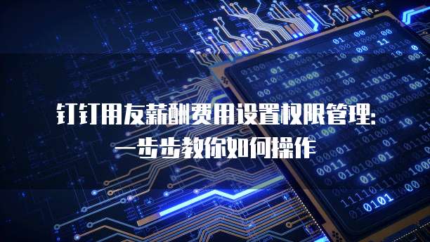 钉钉用友薪酬费用设置权限管理:一步步教你如何操作