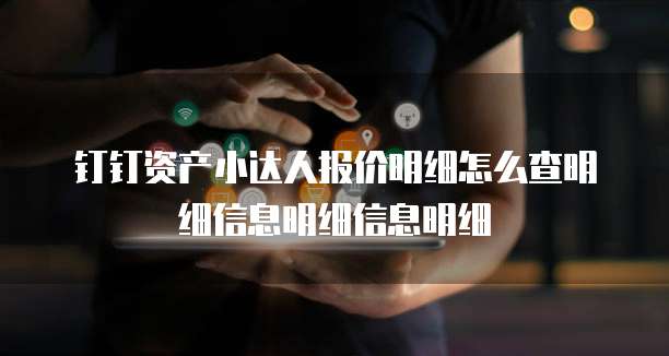 钉钉资产小达人报价明细怎么查明细信息明细信息明细