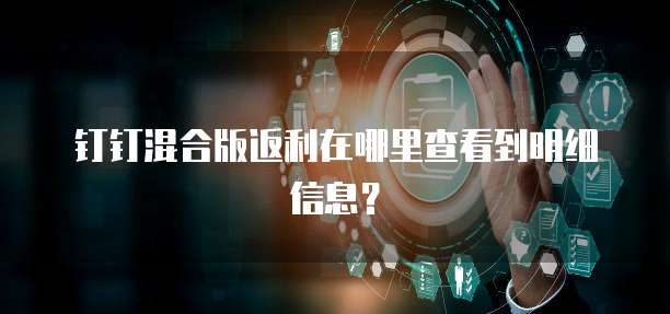钉钉混合版返利在哪里查看到明细信息?