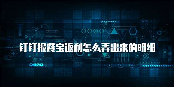 钉钉报餐宝返利怎么弄出来的明细