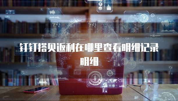 钉钉搭贝返利在哪里查看明细记录明细